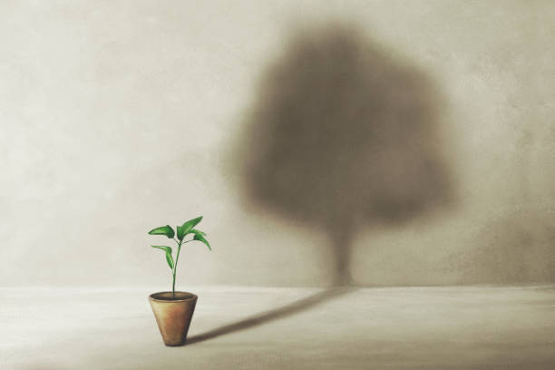 ilustraciones, imágenes clip art, dibujos animados e iconos de stock de nacimiento de una pequeña planta con sombra surrealista de un gran árbol, concepto de vida - crecimiento