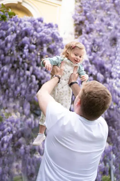 Father play,having fun outdoor with baby girl,daughter on background of glucinum flower,purple,very peri wistaria tree.Man and toddler laughing smiling.Happy parenthood,childhood idea, lifestyle.