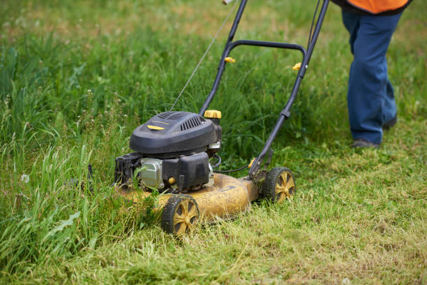 istock Petrol lawn mower cuts overgrown grass 1406167233