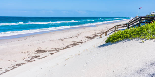 istock White sand beach in Florida 1406167393