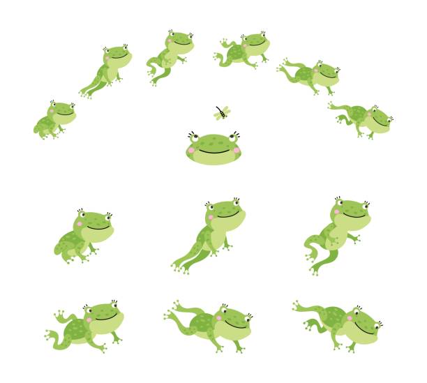 żabi skok. izolowane skaczące zielone żaby, animacja procesu ruchu. znak ruchu sekwencji. śliczne skok ropuchy z kreskówek, obecnie scena wektorowa - toad green isolated white stock illustrations