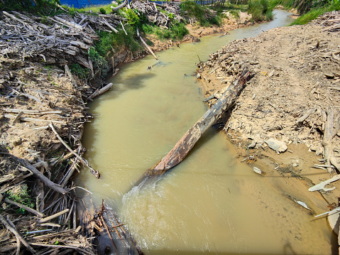 Log debris washed out from nearby river in Pahang state, Malaysia.