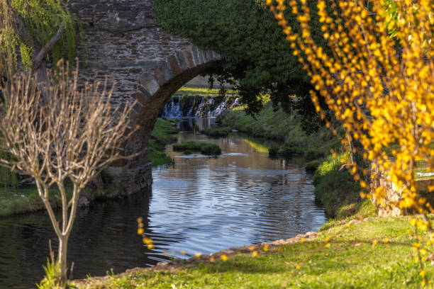 istock Old stone bridge with vegetation and waterfalls in the background. 1406172687