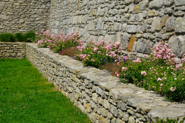 istock terraces with stairs in a sloping park. stone retaining walls with light stone. blue lavender and pink roses with perennials grow on the edge of the wall. lawns and gravel path, led, footpath, castle 1406172888