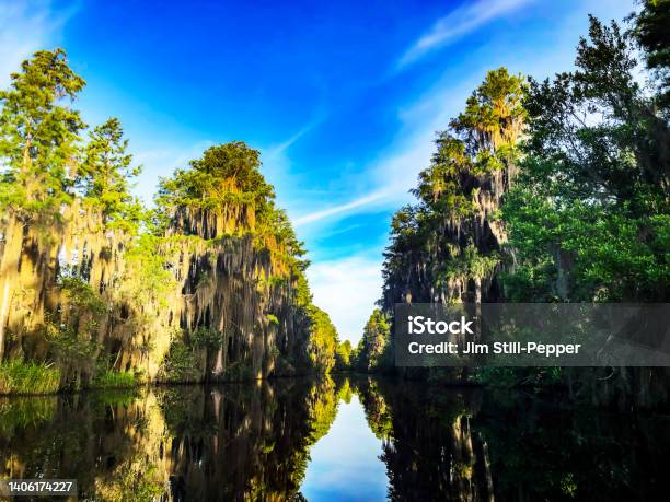 The Grand Suwanee Canal In The Okefenokee National Wildlife Refuge Stock Photo - Download Image Now