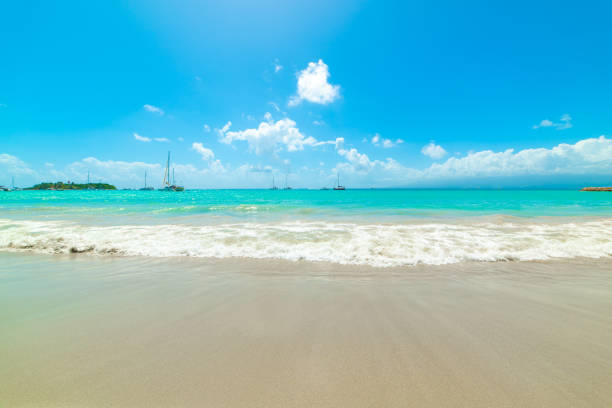 istock Turquoise water in La Datcha beach 1406177185
