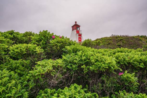 istock A lighthouse at Margaree Harbour in Nova Scotia, Canada 1406180312