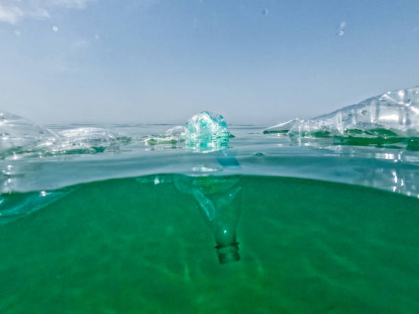 istock Plastic Bottles Floating In The Sea 1406180432