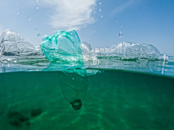 istock Plastic Bottles Floating In The Sea 1406180440