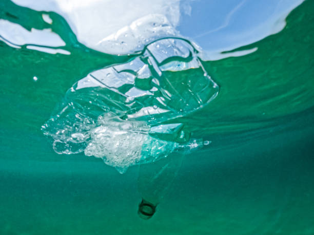 istock Plastic Bottles Floating In The Sea 1406180459