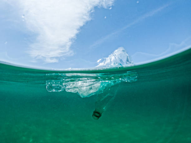 istock Plastic Bottles Floating In The Sea 1406180473