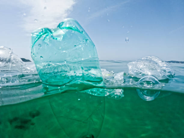 istock Plastic Bottles Floating In The Sea 1406180482