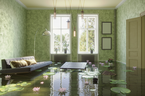 A surreal scene includes a living room flooding pond and pond lily on it. (3d render)