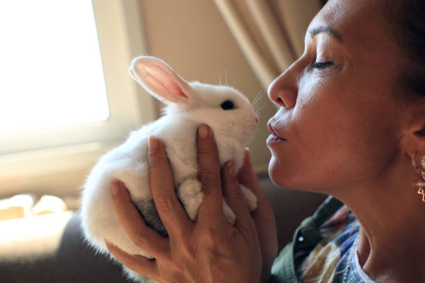 istock Baby rabbit and woman portrait 1406192930