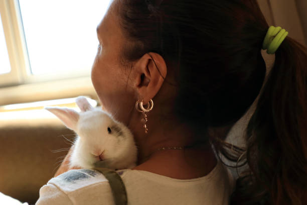istock Baby rabbit and woman portrait 1406192962