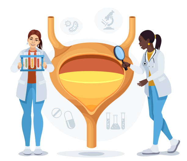 pelvic floor physical therapist