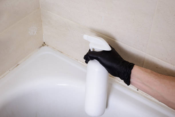 タイル、洗浄剤、バスルームの黒い手袋をはめた手の間の汚れた目地。清掃前にバスルームの隅にある有毒な黒いカビ。 - mold damaged toxic mold mildew ストックフォトと画像