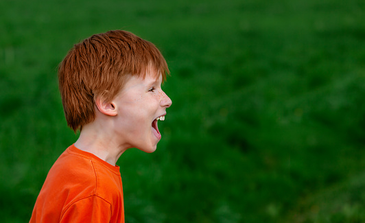 Portrait of a screaming red-haired boy on a background of green grass. The concept of loneliness, stress, fear, problems in the family, bullying. The child is lost and is screaming, calling for help.