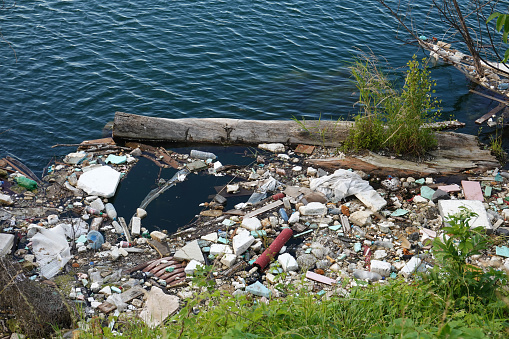 Shore of a freshwater lake polluted with plastic bottles and construction waste.