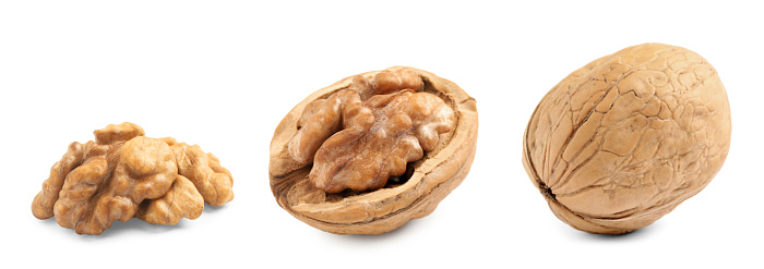 Set with tasty walnuts on white background. Banner design