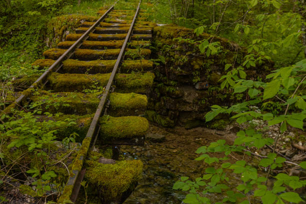 istock Old abandoned railway narrow gauge train track. Old train tracks covered with grass, greenery and other stuff. 1406200384