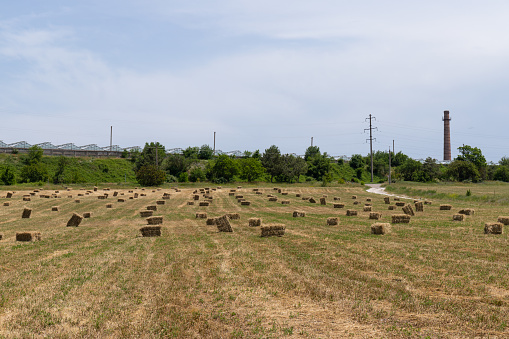 Agriculture - Hay Bail - Rural Scene