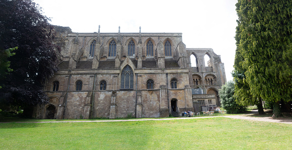 Malmesbury Abbey back view