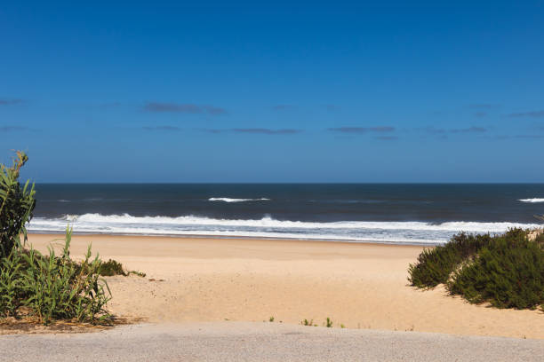istock Front view of Praia da Murtinheira 1406201892