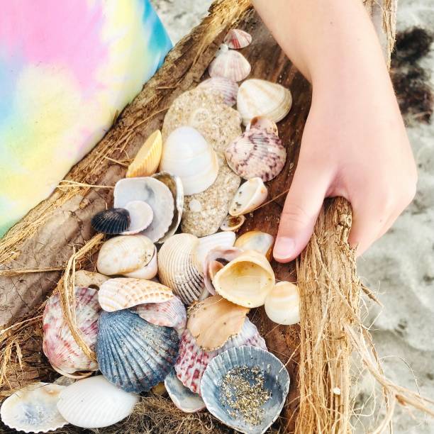 istock Girl collecting shells on beach 1406203960