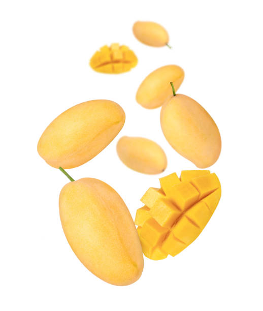 istock Yellow ripe mango with cut in half sliced flying in the air isolated on white 1406206636
