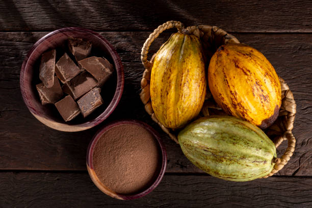 istock Cocoa with chocolate pieces and chocolate powder on the table. 1406207029