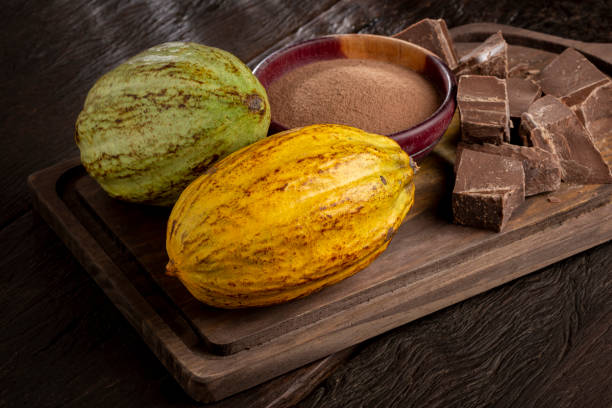 istock Cocoa with chocolate pieces and chocolate powder on the table. 1406207065
