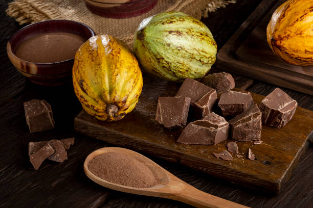 istock Cocoa with chocolate pieces and chocolate powder on the table. 1406207089