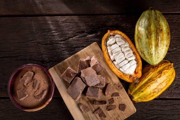 istock Cocoa with chocolate pieces and chocolate powder on the table. 1406207989