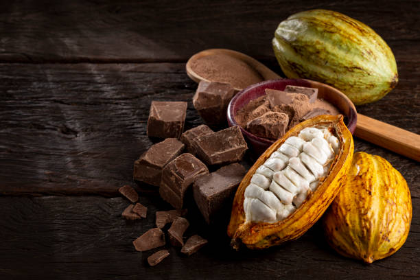 cacao con pezzi di cioccolato e polvere di cioccolato sul tavolo. - cocoa bean foto e immagini stock