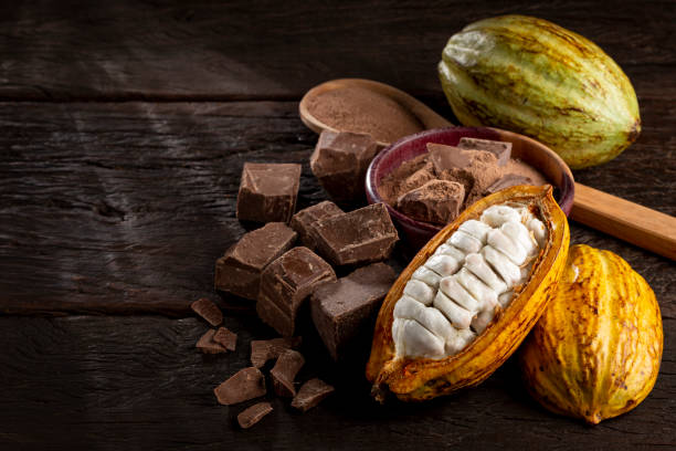 какао с кусочками шоколада и шоколадным порошком на столе. - cocoa cocoa bean chocolate brazil стоковые фото и изображения