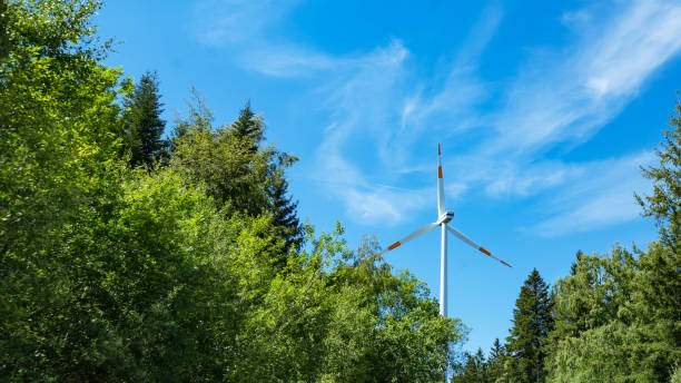 bannière de fond éolien large panorama panoramique - ciel bleu nuageux avec de nombreux moulins à vent / éoliennes, soleil et arbres verts dans la forêt en allemagne ( forêt-noire ) - black forest forest sky blue photos et images de collection