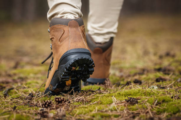 Tourist with hiking boots walking on footpath in nature stock photo