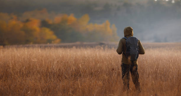 istock Young handsome man posing in autumn forest. 1406212817
