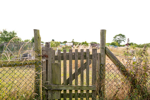 Old wooden gate leading to a public allotment in the background. The gate is used to access the nearby allotment area.