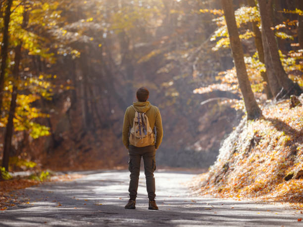 istock Young handsome man posing in autumn forest. 1406213861
