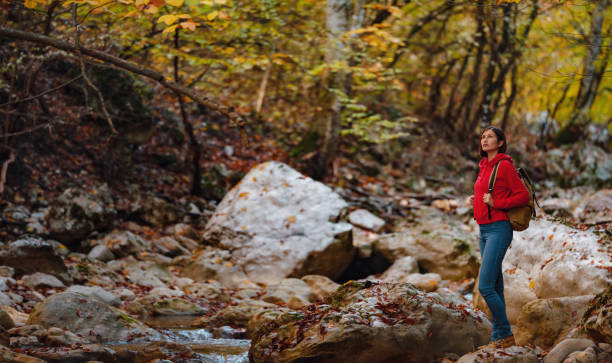 Travel and road trip concept at autumn. Adventure and active lifestyle in nature. Tourist hiking in forest. Asian woman in red hoodie walks in forest. Wanderlust concept.