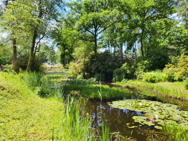 istock Tranquil scenery in Park Seleger Moor. 1406216565