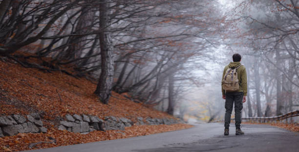 istock Young handsome man posing in autumn forest. 1406223583