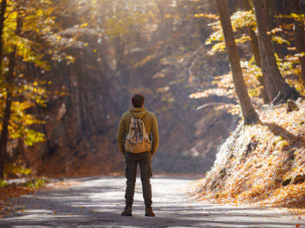 istock Young handsome man posing in autumn forest. 1406225245