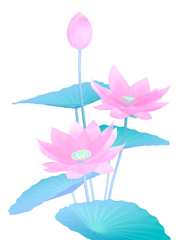 3D image of lotus flowers. For Buddhist events and meditation-related etc.