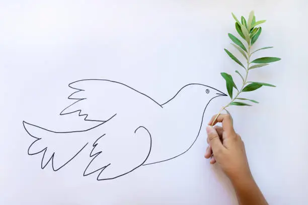 Child drawing Dove of Peace with olive branch on a white cardboard.
People, education, childhood