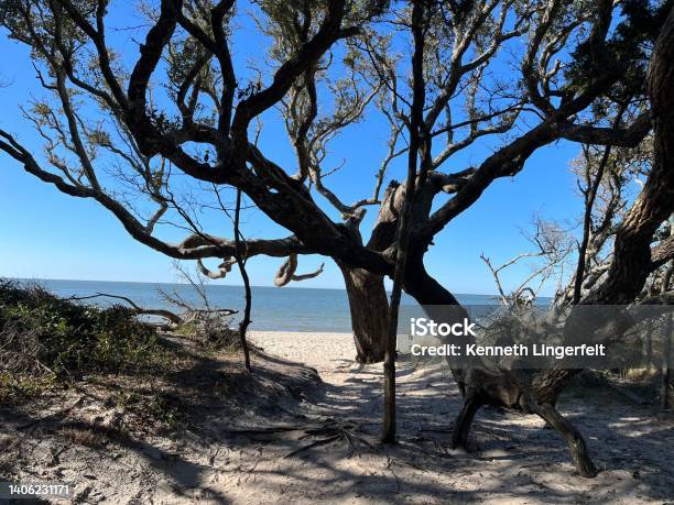 Paradise On Earth Stock Photo - Download Image Now - Ocracoke Island, Backgrounds, Beach