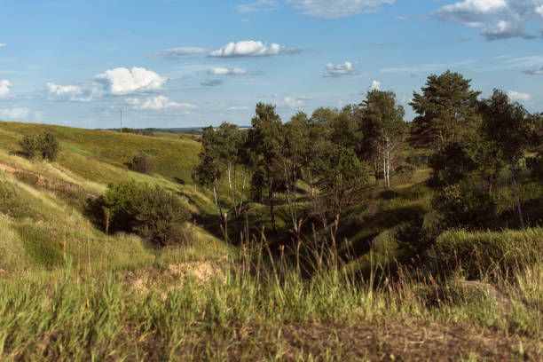 istock Wild landscapes in west Europe 1406232187