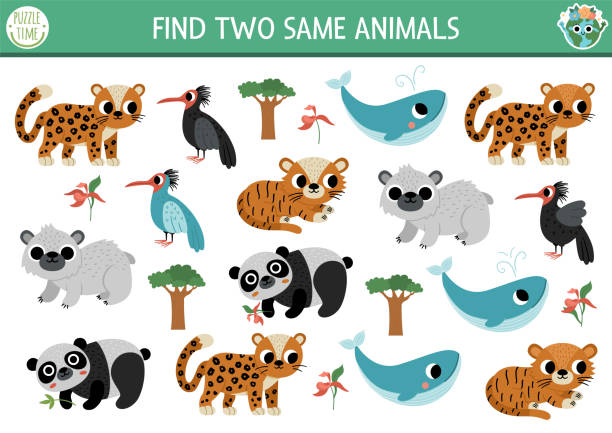 같은 멸종 위기에 처한 두 마리의 동물을 찾으십시오. 어린이를위한 생태 매칭 활동. 관심 기술을위한 아이들을위한 에코 인식 교육 퀴즈 워크 시트. 간단한 인쇄 가능한 게임 - leopard 2 stock illustrations